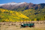 fall color, Colorado, wagon, Cripple Creek